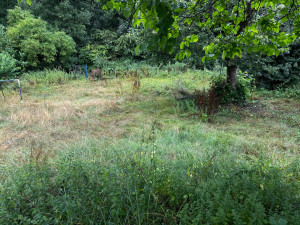 Photo de galerie - Avant