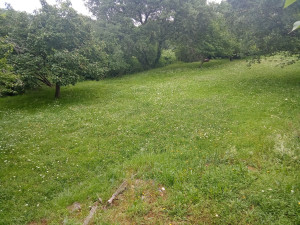 Photo de galerie - Avant
