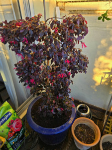 Photo de galerie - Après 