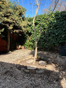 Photo de galerie - Désherbage 