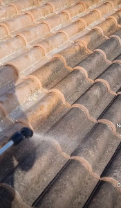 Photo de galerie - Démoussage, traitement fongicide et hydrofuge