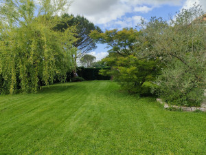 Photo de galerie - Finalisation d engazonnement