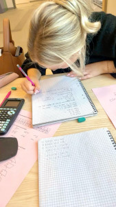 Photo de galerie - Aide au devoir de la primaire au lycée ( + PASS/LAS)