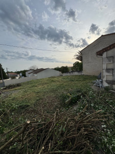 Photo de galerie - Débroussaillage 