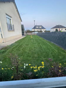 Photo de galerie - Tonte d un gazon 