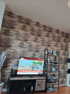 Photo de galerie - Tapisserie a raccord effectuée sans problème client satisfait 