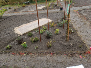 Photo de galerie - .