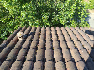 Photo de galerie - Couverture - Toiture