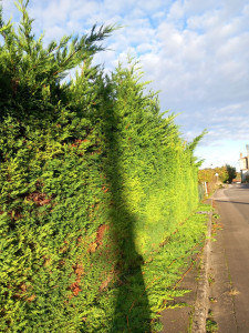Photo de galerie - Chantier d'une journée 