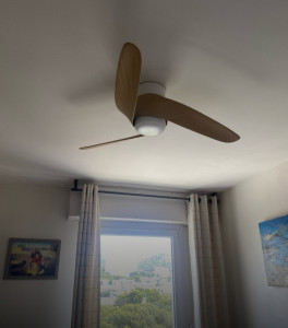 Photo de galerie - Ventilateur de plafond