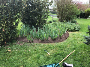 Photo de galerie - Paysagiste - Aménagement du jardin