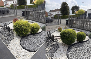 Photo de galerie - Taille d’arbustes format en boule ? prix à discuter en privé 