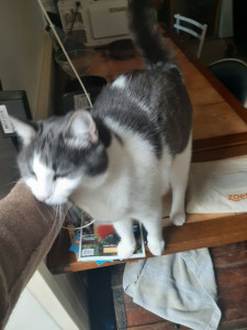 Photo de galerie - Petite caresse! 