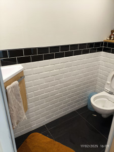 Photo de galerie - WC geberit suspendu, carrelage au sol et murs, placo, enduits et peinture 