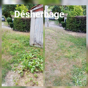 Photo de galerie - Tonte de pelouse - Débroussaillage