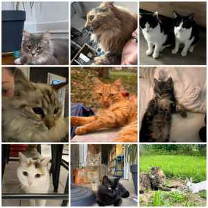 Photo de galerie - ✨