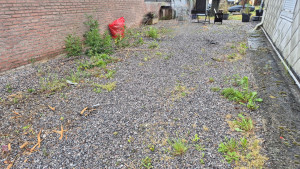 Photo de galerie - Desherbage allée