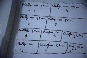 Photo de galerie - Lister et organiser les vis composant un iPhone 5S