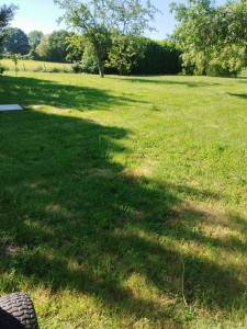 Photo de galerie - Tonte de pelouse 
