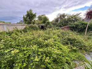 Photo de galerie - Nettoyage de terrain ( avant ) 
