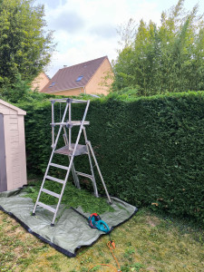 Photo de galerie - Taille de haie 