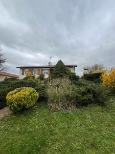 Photo de galerie - Après la taille du massif