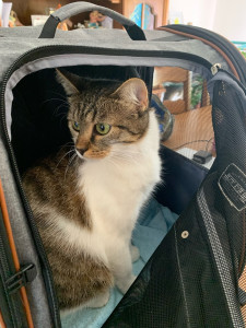 Photo de galerie - Flocki