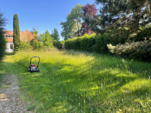 Photo de galerie - Débroussaillage