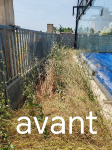 Photo de galerie - Tonte de pelouse - Débroussaillage