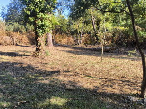 Photo de galerie - Nettoyage aux abords d'une maison pour le risque incendie , obligation légale de débroussaillement 