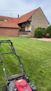Photo de galerie - Tonte d’un gazon 