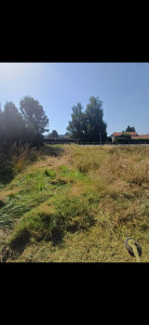 Photo de galerie - Remise en état après 1 an et demi sans tonte 