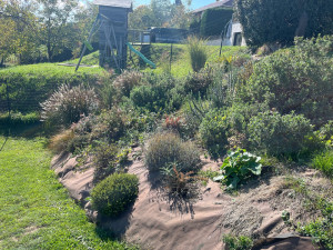 Photo de galerie - Désherbage et nettoyage massif 