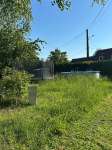 Photo de galerie - Tonte de pelouse - Débroussaillage