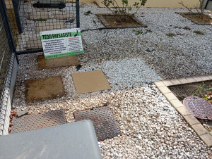 Photo de galerie - Diagnostic visuel de décontamination comme on peut voir sur la photo (1) sur une dalle (2) sur les galets (3) sur les bordures à droite  .
