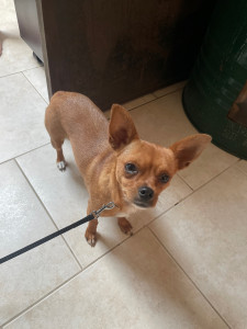 Photo de galerie - Très jolie et très sympa ? 