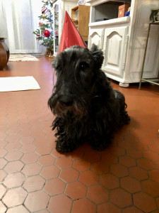 Photo de galerie - Séjours réguliers de Quickie