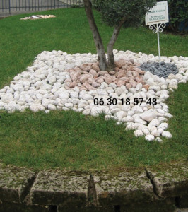Photo de galerie - Mon numéro 