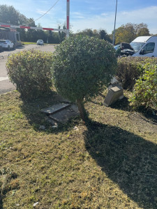 Photo de galerie - Taille