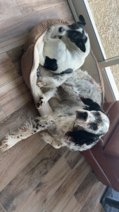 Photo de galerie - Rosalie 