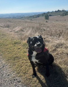 Photo de galerie - En rando