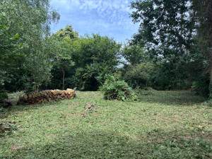 Photo de galerie - Débroussaillage de la clairière effectué 