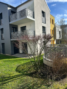 Photo de galerie - Taille de haies et d'arbustes