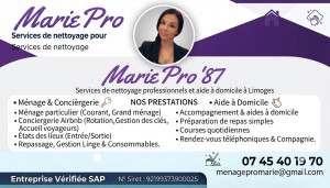 Photo de galerie - Prestations Ménage basique 15€/h 