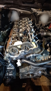 Photo de galerie - Chaine distribution BMW
M57D30