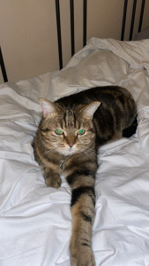 Photo de galerie - Visite Fendi