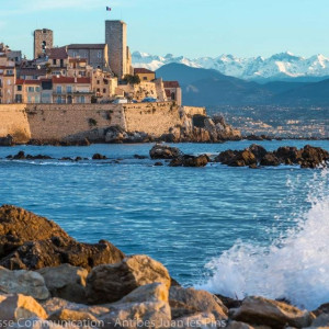 Photo de galerie - Disponible sur Antibes Juan les Pins