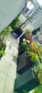 Photo de galerie - Aménagement d’une terrasse harmonieuse avec bacs à fleurs et végétaux soigneusement choisis, pour un espace extérieur chaleureux et verdoyant !