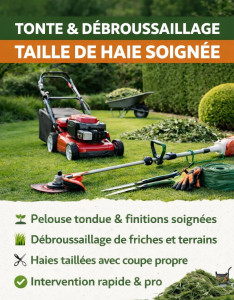 Photo de galerie - Tonte pelouse 