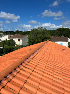 Photo de galerie - Changement de faîtage 